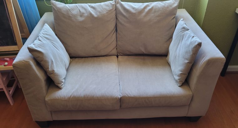 Couch and loveseat